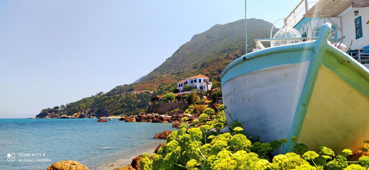 Sea Sound Villa Agios Dimitrios  エクステリア 写真